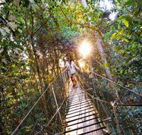 O'Reilly's Rainforest Retreat - Accommodation in Surfers Paradise