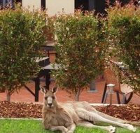 Alpha Canberra Hotel and Apartments - Accommodation in Surfers Paradise