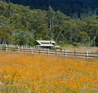 Pender Lea Alpine Guest Accommodation - Accommodation in Surfers Paradise