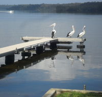 Basin Cabin - Accommodation in Surfers Paradise