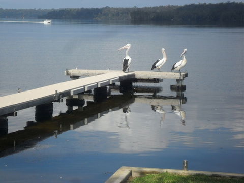 Basin Cabin - Accommodation in Surfers Paradise 0