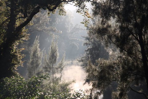 Elderslie House - Accommodation in Surfers Paradise 29