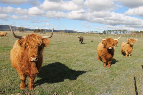 Grange Cleveland Winery Retreat - Accommodation in Surfers Paradise 6