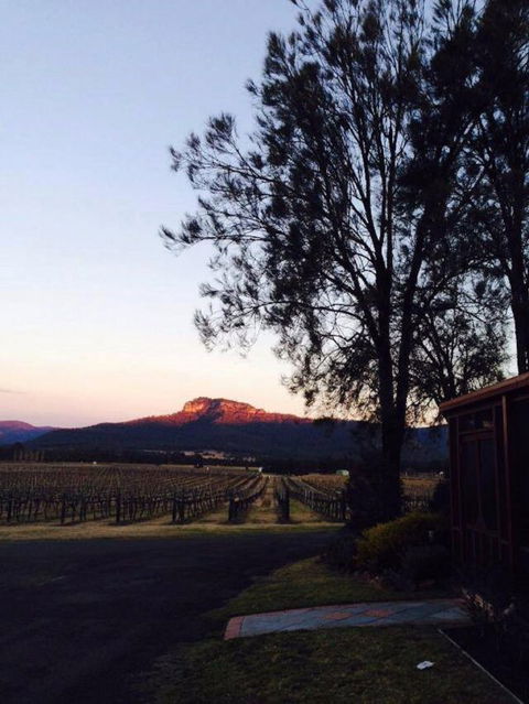 Nightingale Wines Luxury Villas - Accommodation in Surfers Paradise 1