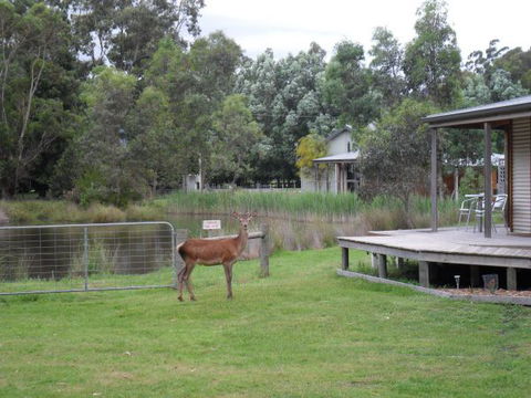 Grampians Chalets - Accommodation in Surfers Paradise 3