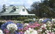 Emmas Cottage Vineyard - thumb 0