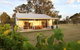 Emmas Cottage Vineyard - thumb 4