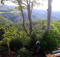 Mt Tamborine Motel - Accommodation in Surfers Paradise