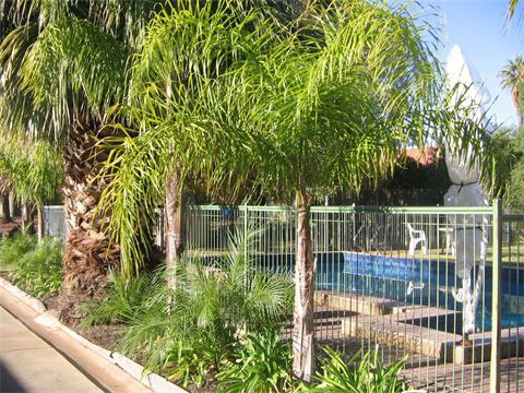 Orana Motor Inn - Accommodation in Surfers Paradise 8