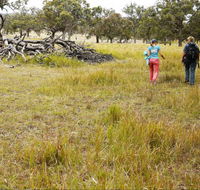Carnarvon National Park camping - Accommodation in Surfers Paradise