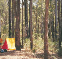 Nanga Mill Camp at Lane Poole Reserve - Accommodation in Surfers Paradise