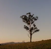 Faulls Ridge Winery - Accommodation in Surfers Paradise
