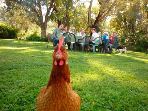 Baranduda Homestead B&B Cottages - Accommodation in Surfers Paradise 9