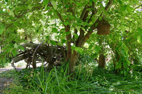 Willowbrook Heritage Bed & Breakfast - Accommodation in Surfers Paradise 7