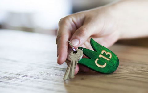 Blue Cattle Dog Hotel - Accommodation in Surfers Paradise 0