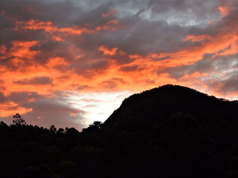 'The Dales' Boutique Bed And Breakfast - Accommodation in Surfers Paradise 6