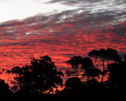 'The Dales' Boutique Bed And Breakfast - Accommodation in Surfers Paradise 8