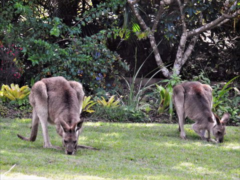 'The Dales' Boutique Bed And Breakfast - Accommodation in Surfers Paradise 9
