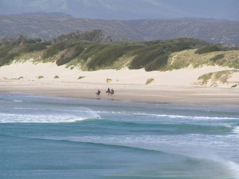Arties Cottage Accommodation - Accommodation in Surfers Paradise 5