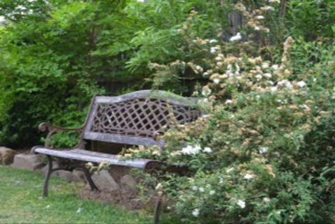 Garden Cottage B And B - Accommodation in Surfers Paradise 4