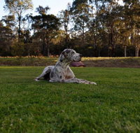 Hunter Valley Retreat - Accommodation in Surfers Paradise
