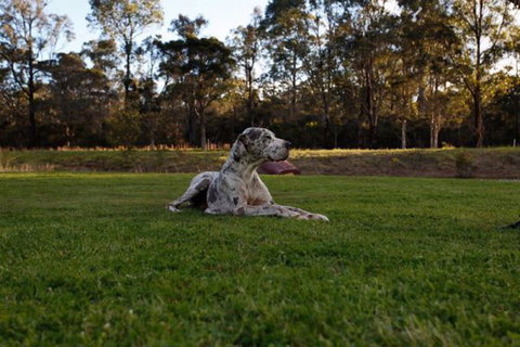 Hunter Valley Retreat - Accommodation in Surfers Paradise 0