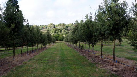 Oakhill Cottage - Accommodation in Surfers Paradise 6