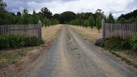 Oakhill Cottage - Accommodation in Surfers Paradise 7