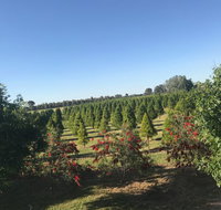Rutherglen Christmas Trees Farm Stay
