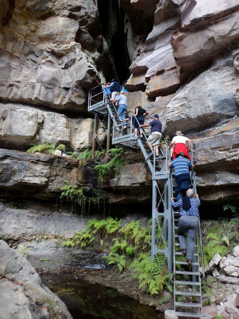 Takarakka Bush Resort Carnarvon Gorge - Accommodation in Surfers Paradise 0