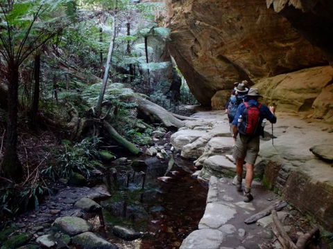 Takarakka Bush Resort Carnarvon Gorge - Accommodation in Surfers Paradise 6