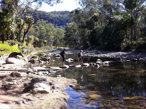 Takarakka Bush Resort Carnarvon Gorge - Accommodation in Surfers Paradise 9