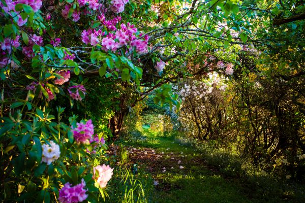 Lalla TAS Accommodation in Surfers Paradise