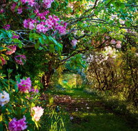 The Pear Walk - Accommodation in Surfers Paradise