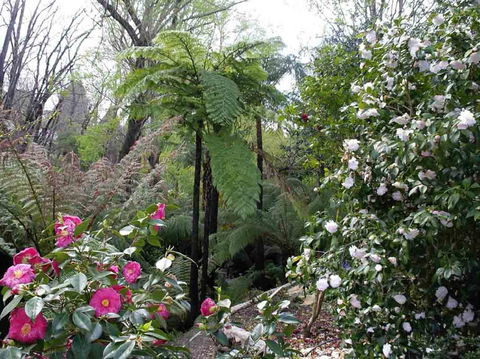 Adelaide Hills B&B Accommodation - Accommodation in Surfers Paradise 3