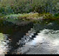 Cod Hole campground and picnic area - Accommodation in Surfers Paradise