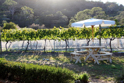 Every Man And His Dog Vineyard - Accommodation in Surfers Paradise 1