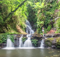 O'Reilly's Rainforest Retreat - Accommodation in Surfers Paradise
