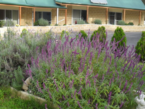 The Malone's Bed And Breakfast Guest Rooms - Accommodation in Surfers Paradise 2