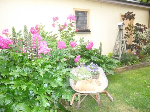 Aggies Bed And Breakfast - Accommodation in Surfers Paradise 2