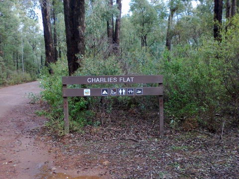 Charlies Flat Campground At Lane Poole Reserve - Accommodation in Surfers Paradise 0