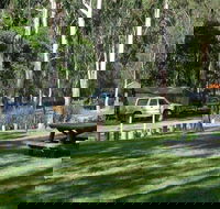 Chaelundi campground - Accommodation in Surfers Paradise