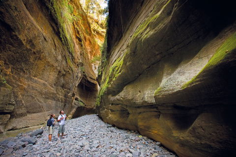 Carnarvon National Park Camping - Accommodation in Surfers Paradise 0