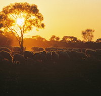 Clandulla Cottages  Farmstay - Accommodation in Surfers Paradise