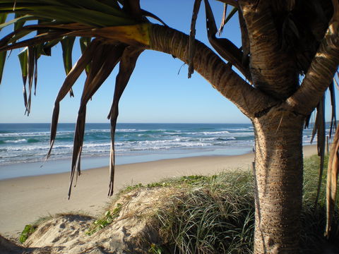 Horizons At Peregian - Accommodation in Surfers Paradise 0