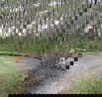 Meroo Head campground - Accommodation in Surfers Paradise