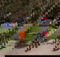 Ngarigo campground - Accommodation in Surfers Paradise