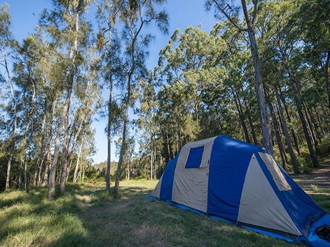 Tattersalls Campground - Accommodation in Surfers Paradise 1