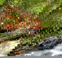 The Mouses House - Rainforest Retreat - Accommodation in Surfers Paradise