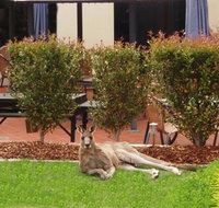 Alpha Canberra Hotel - Accommodation in Surfers Paradise